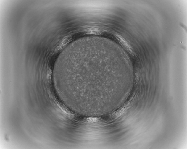 X0000093400265200711020940