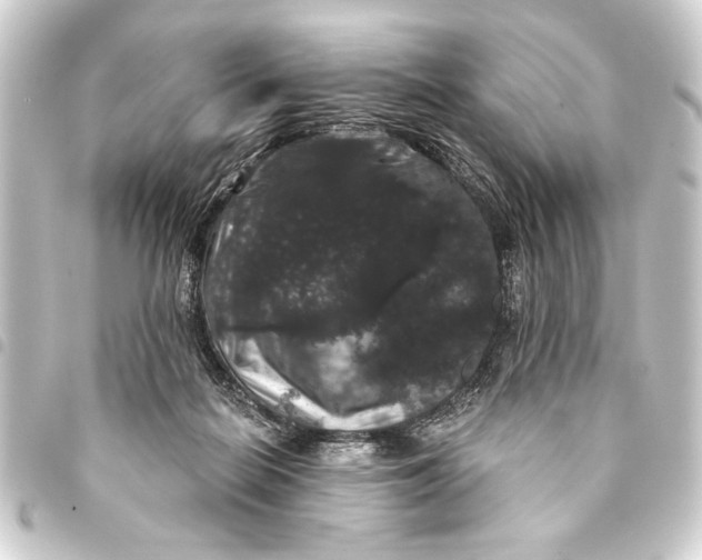 X0000093400266200711020941