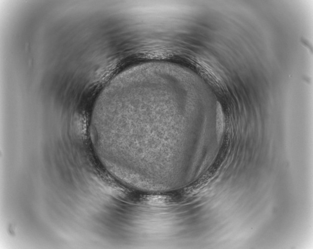 X0000093400268200711020941