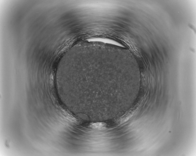 X0000093400269200711020941