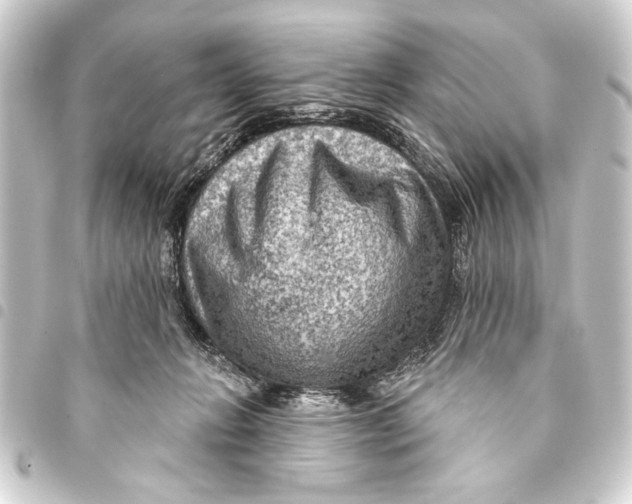 X0000093400270200711020941