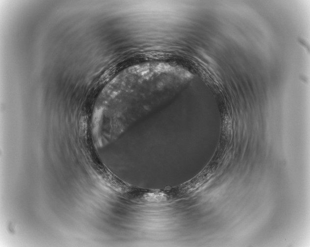 X0000093400271200711020941