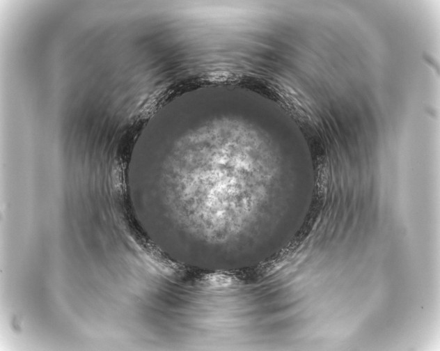 X0000093400272200711020941