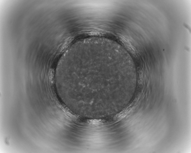 X0000093400273200711020941