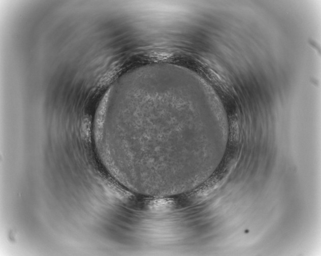 X0000093400274200711020941