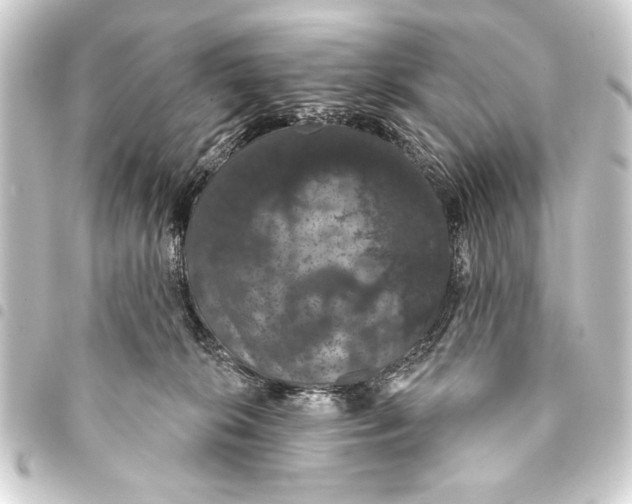 X0000093400276200711020941