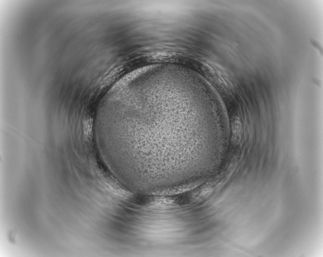 X0000093400278200711020941