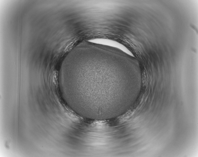 X0000093400280200711020941