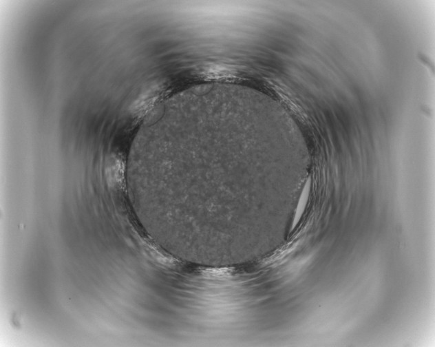 X0000093400281200711020941