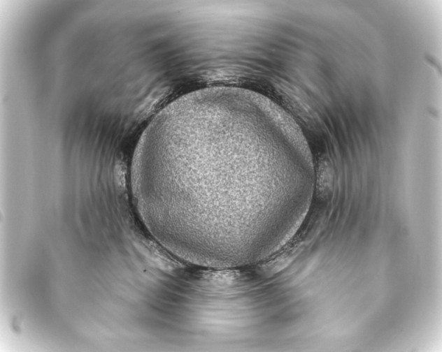 X0000093400282200711020941