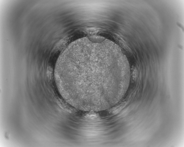 X0000093400283200711020941