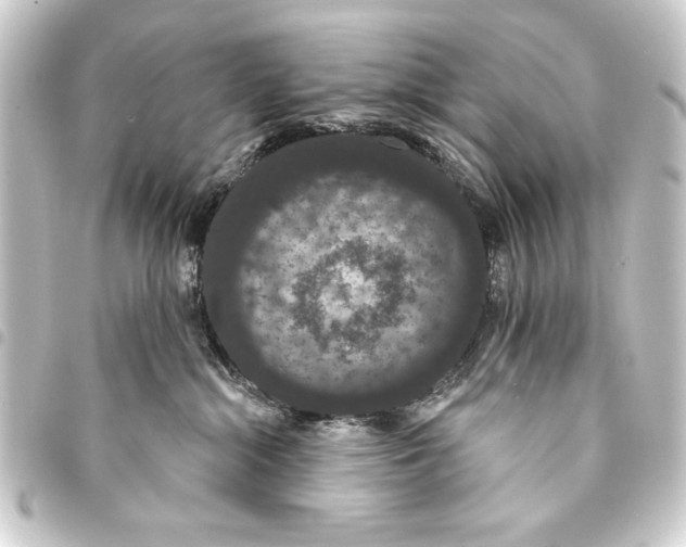 X0000093400284200711020941