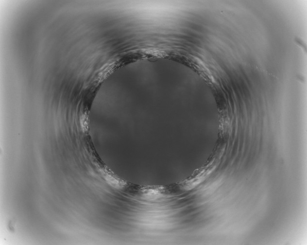 X0000093400285200711020941