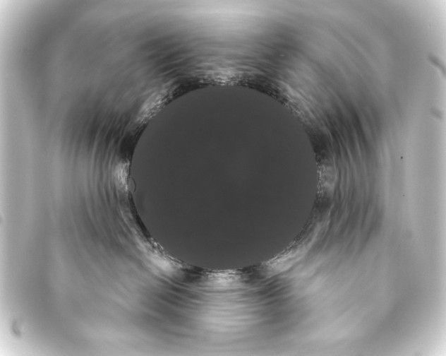 X0000093400286200711020941