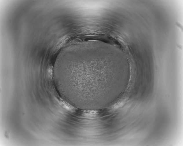 X0000093400288200711020941