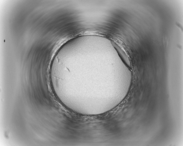 X0000093400289200711020940