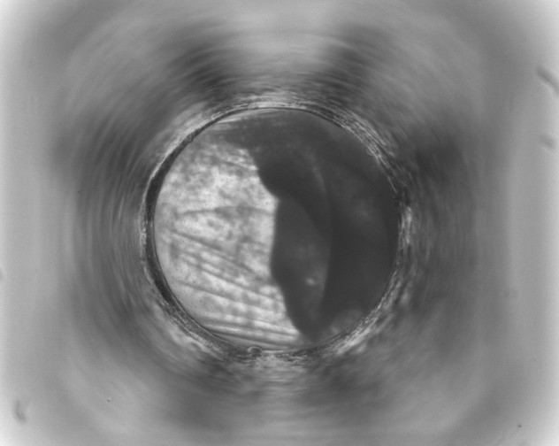 X0000093400290200711020940