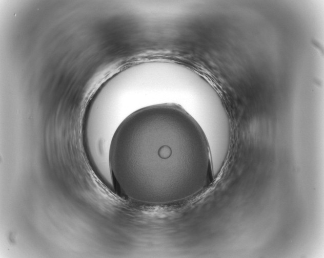 X0000093400293200711020940