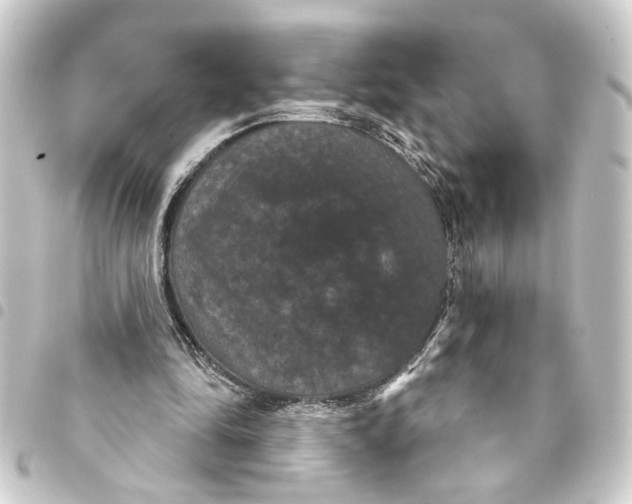 X0000093400294200711020940