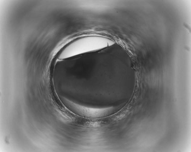 X0000093400295200711020940