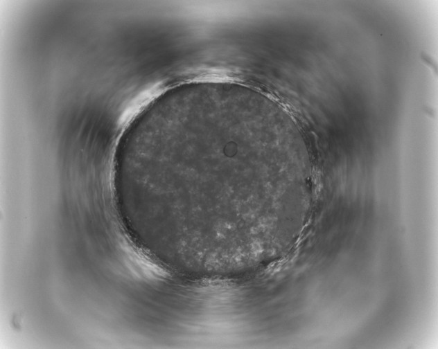 X0000093400296200711020940