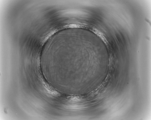 X0000093400297200711020940