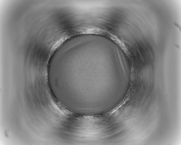 X0000093400298200711020940