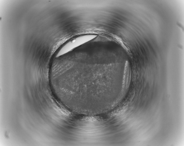 X0000093400299200711020940