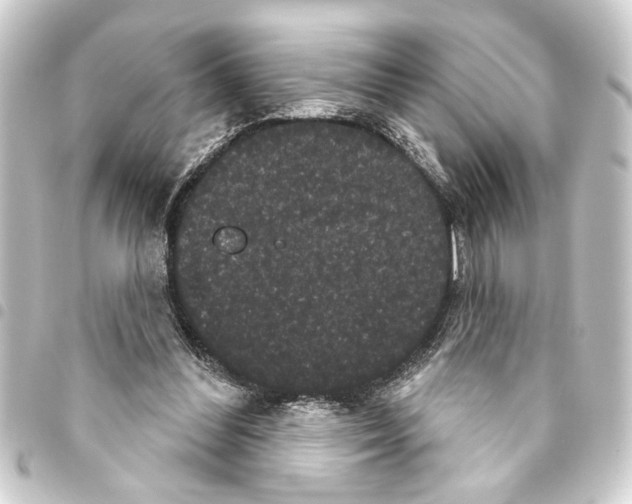 X0000093400300200711020940