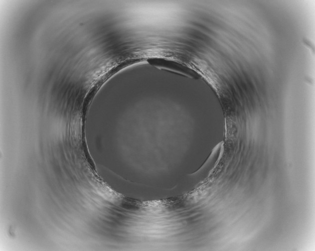 X0000093400301200711020940