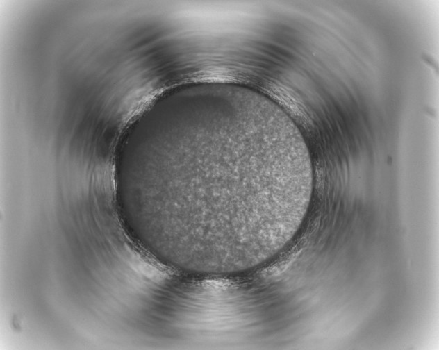 X0000093400302200711020940