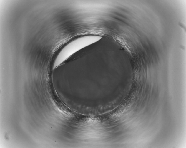 X0000093400303200711020940