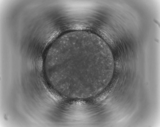 X0000093400304200711020940