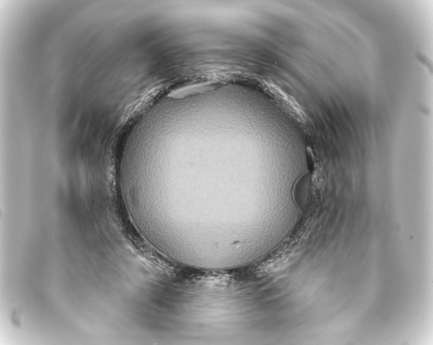 X0000093400306200711020940