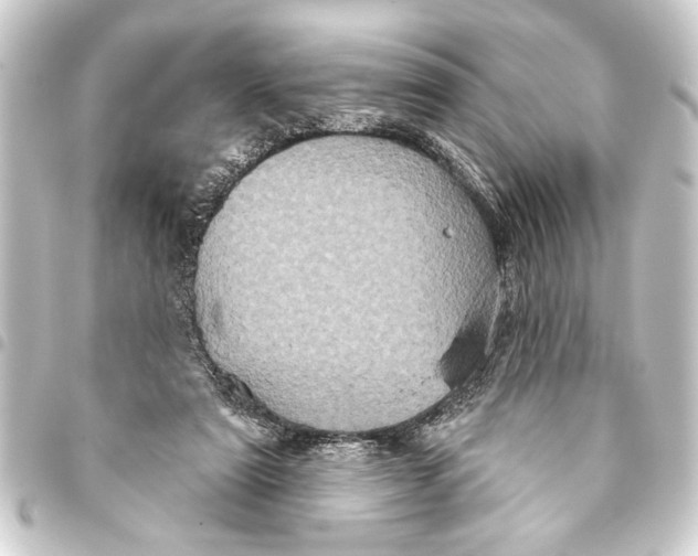 X0000093400307200711020940