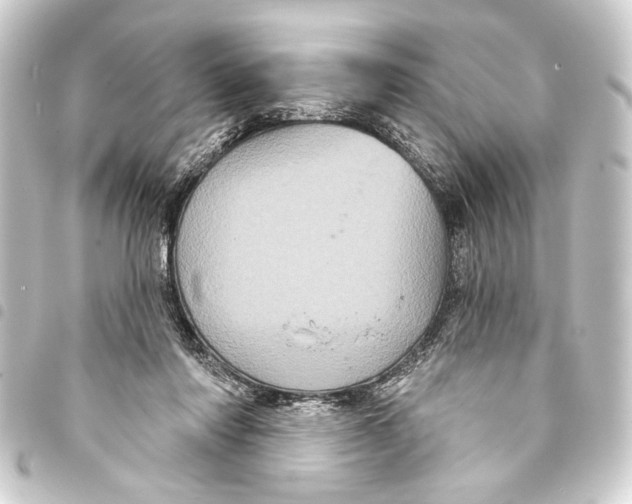 X0000093400310200711020940