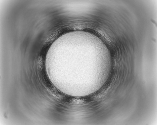 X0000093400311200711020940