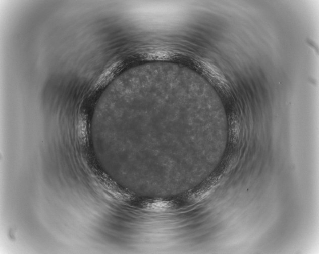 X0000093400312200711020940