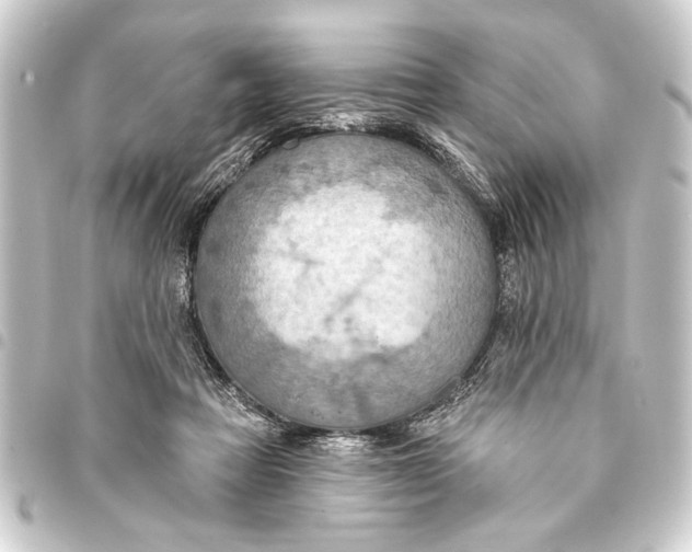 X0000093400313200711020940