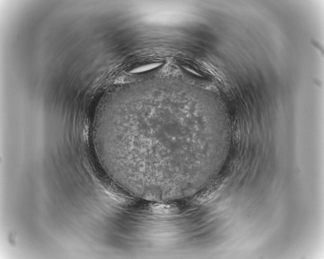 X0000093400315200711020940