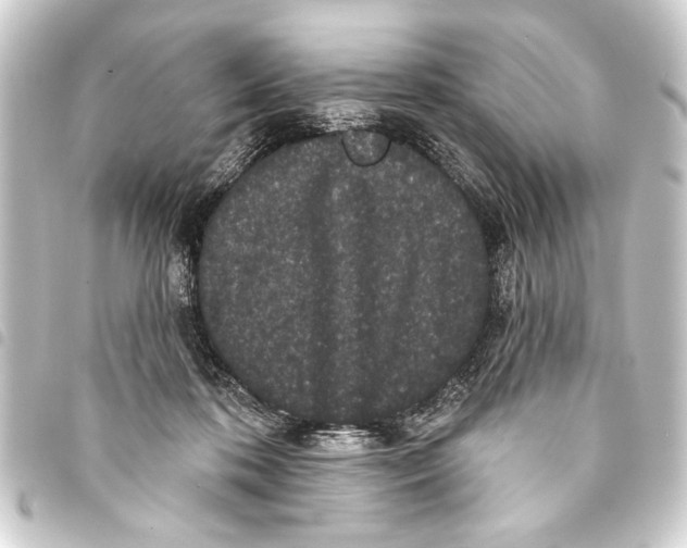 X0000093400316200711020940