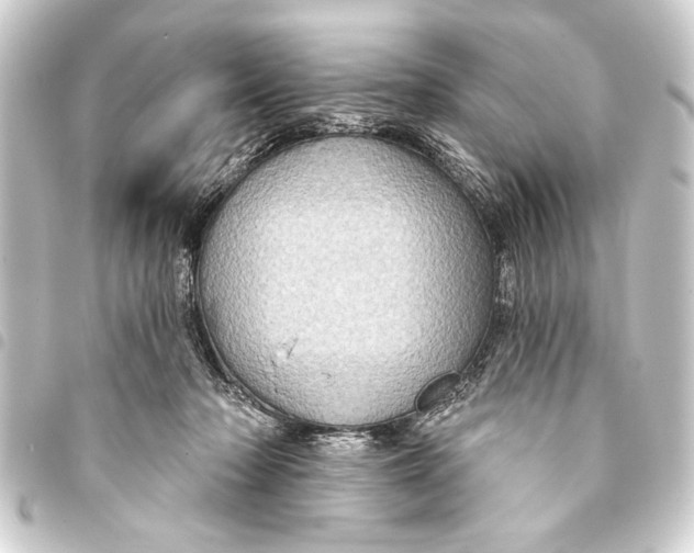 X0000093400318200711020940