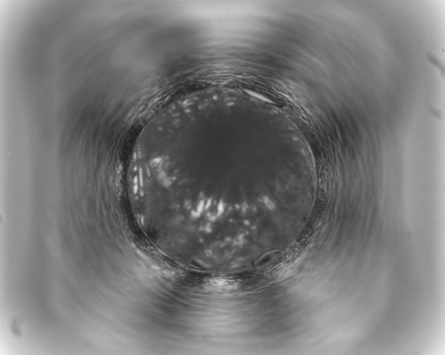 X0000093400319200711020940