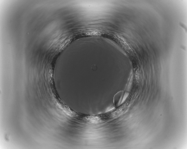 X0000093400322200711020940