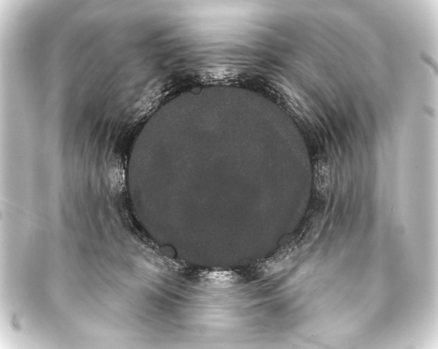 X0000093400324200711020940