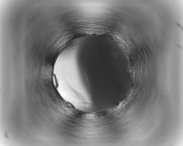 X0000093400325200711020940