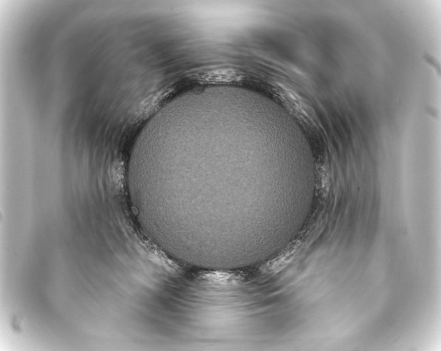 X0000093400326200711020940