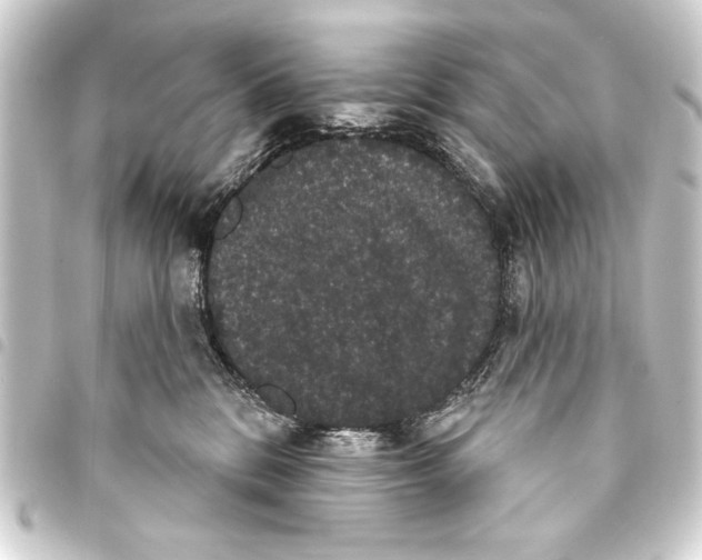 X0000093400328200711020940