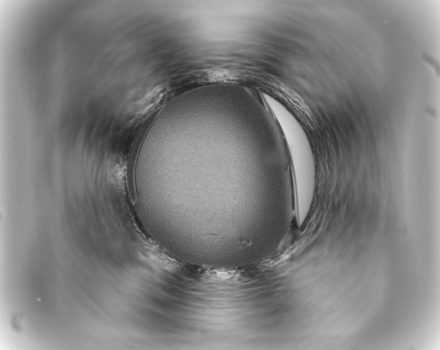 X0000093400329200711020940