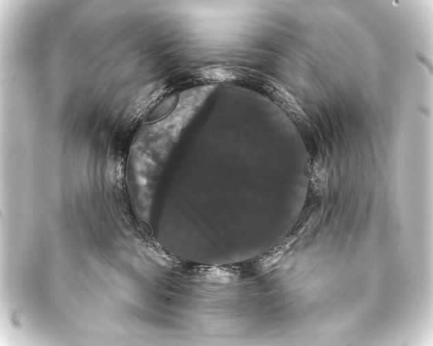 X0000093400330200711020940